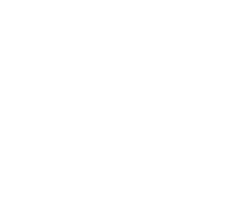 Flame Autoricambi